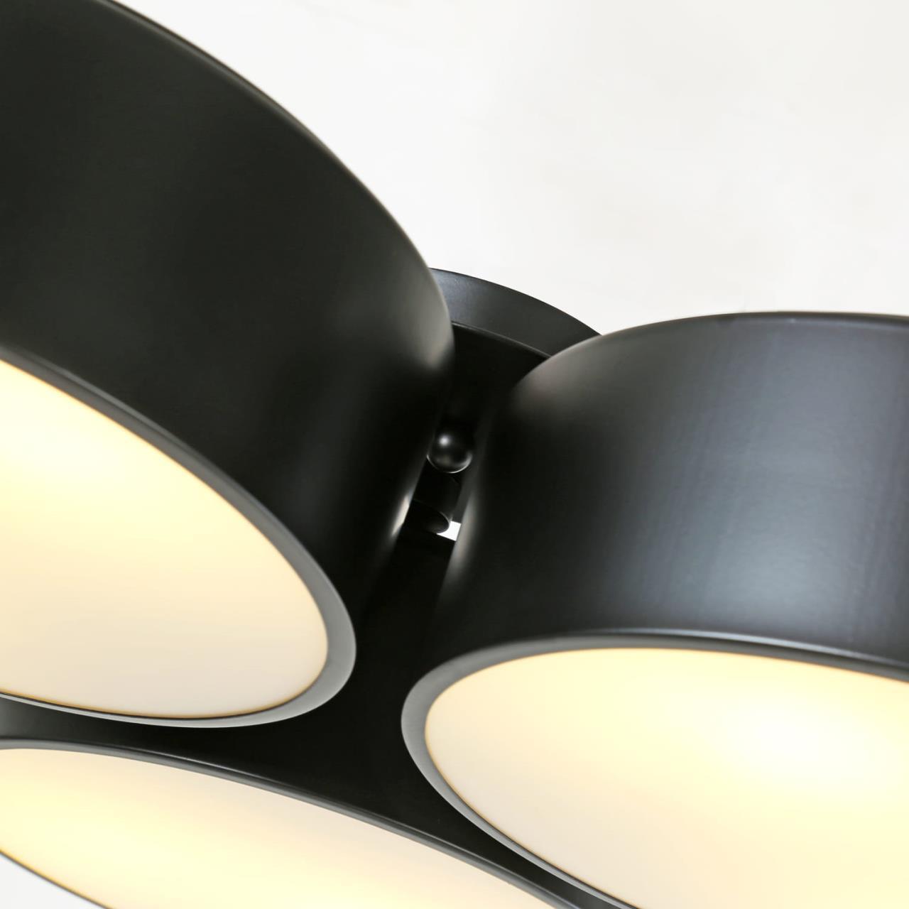 Картинка Потолочный светильник Favourite Cerchi 1514-6C