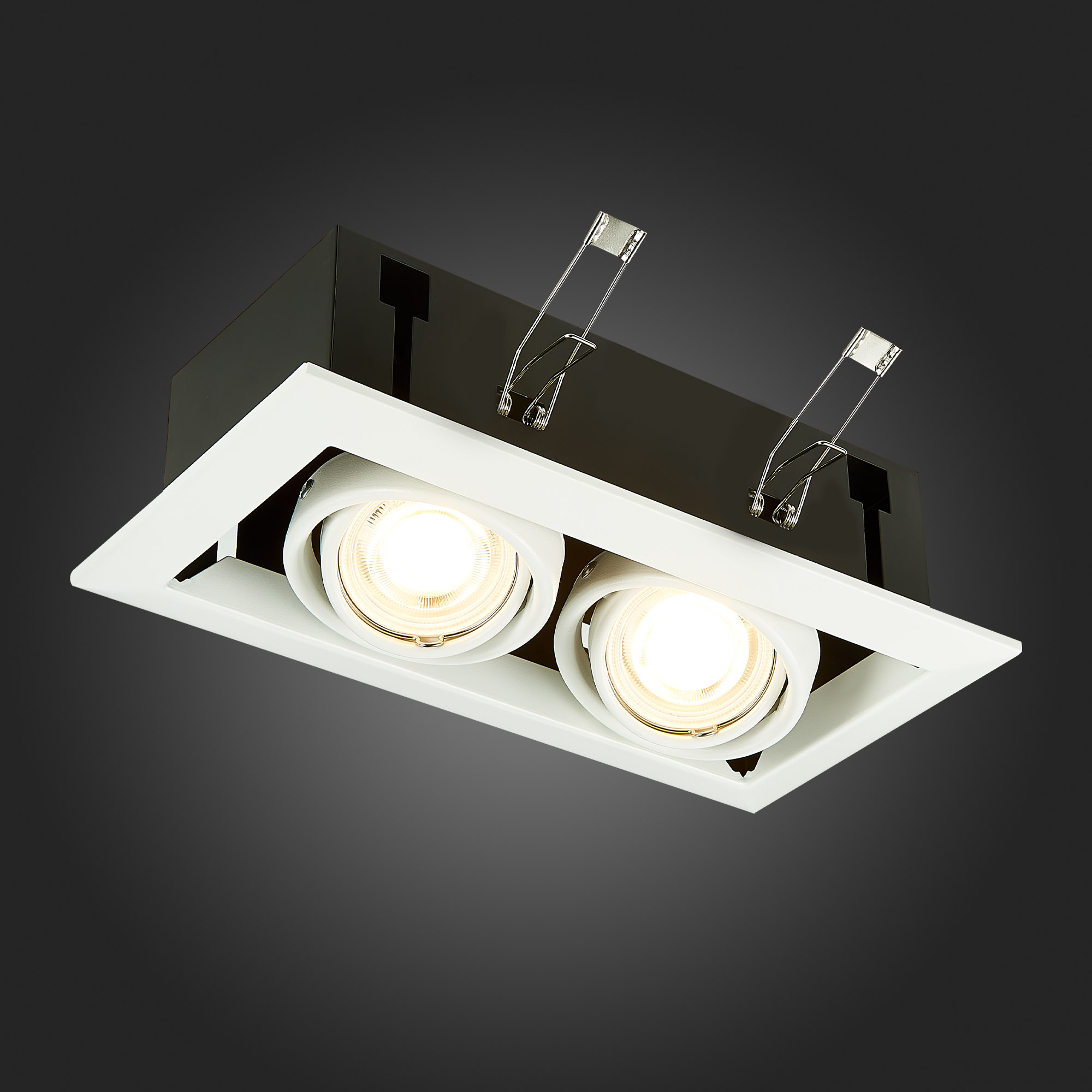 Дополнительная картинка Встраиваемый светильник ST Luce ST250.558.02