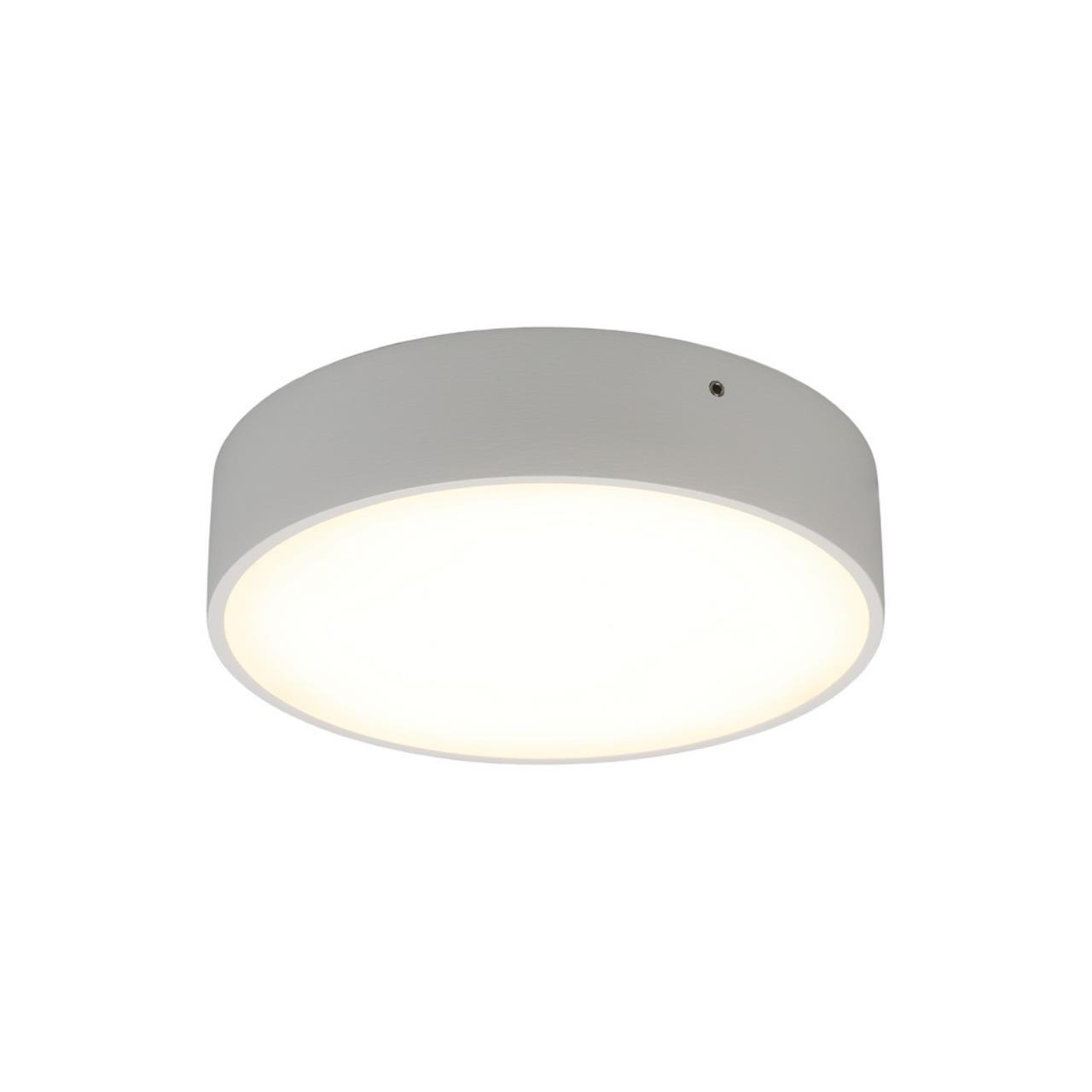 Картинка Потолочный светодиодный светильник Aployt Evon APL.0113.09.18