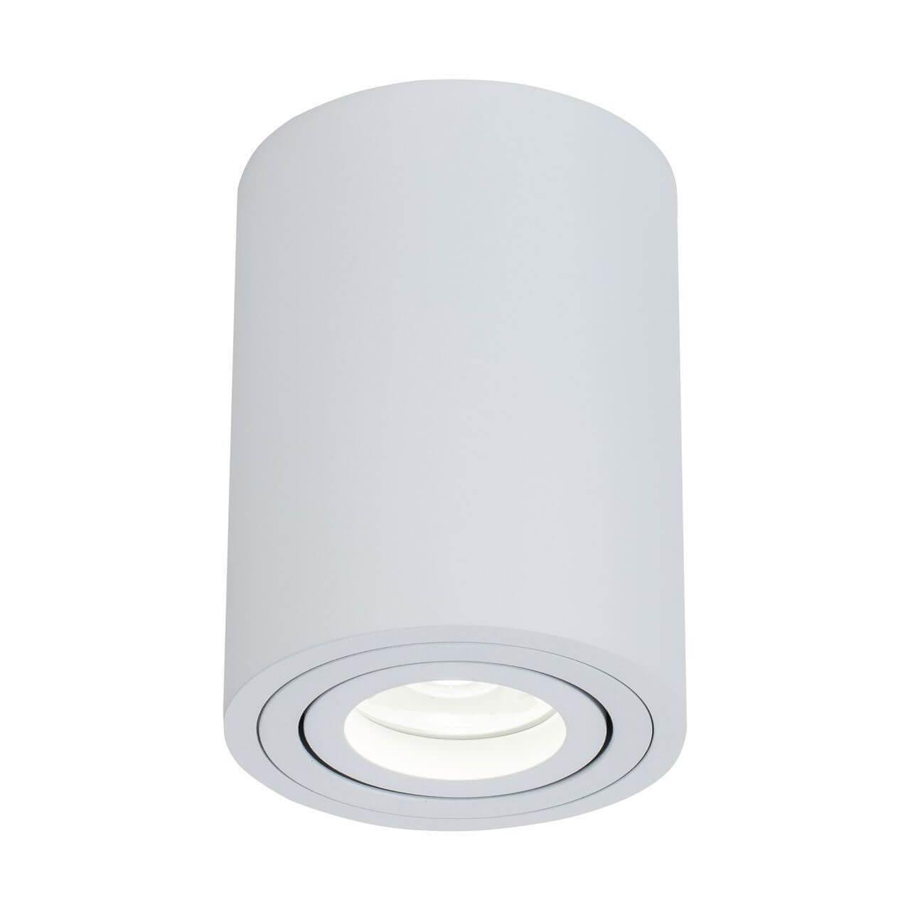 Картинка Потолочный светильник Maytoni Alfa C016CL-01W