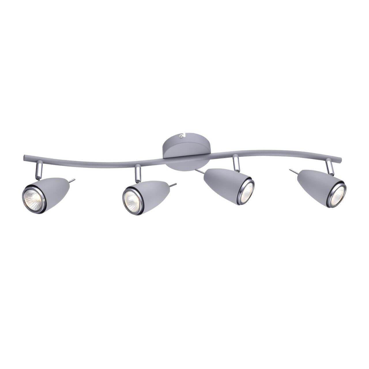Дополнительная картинка Настенно-потолочный светильник Arte Lamp Regista A1966PL-4GY