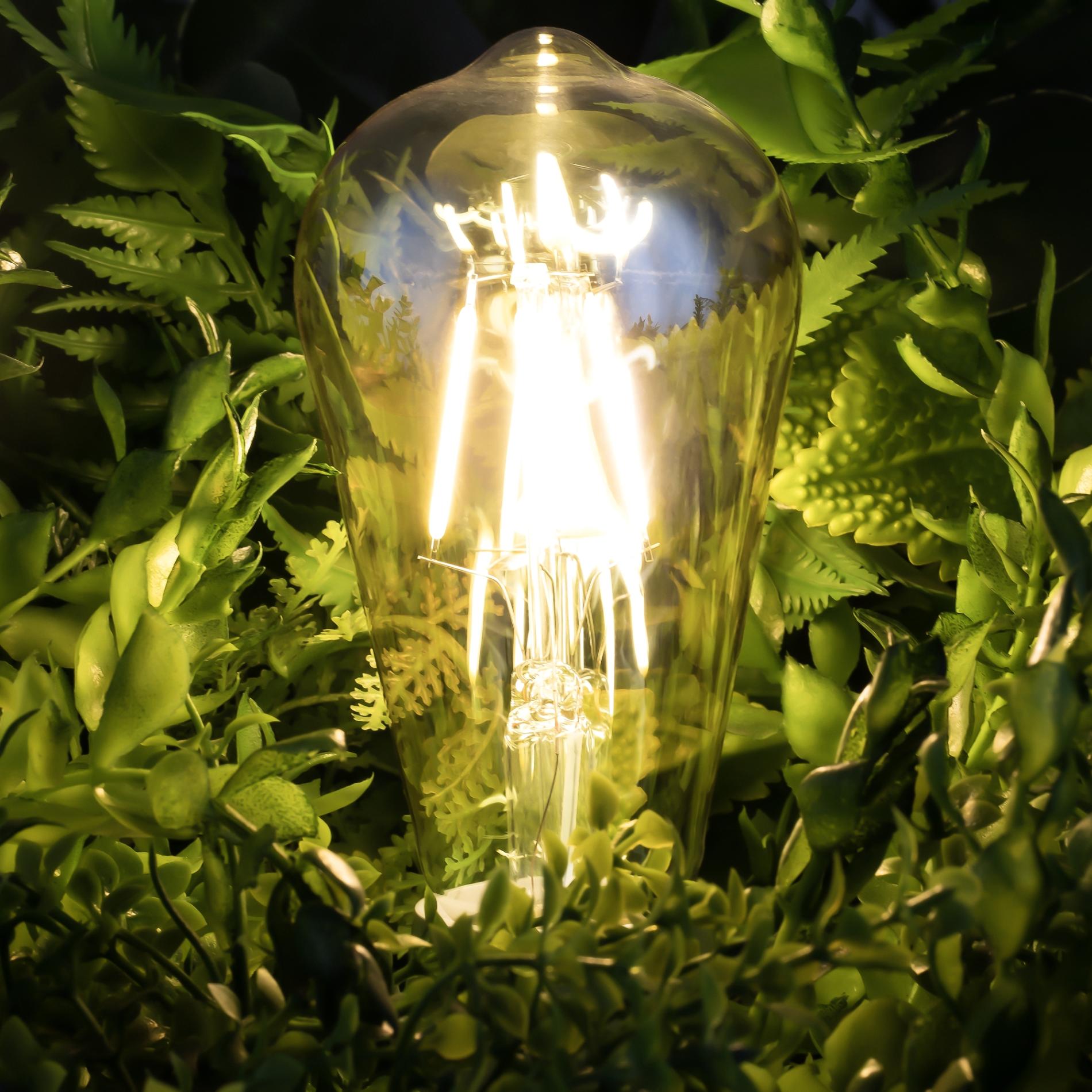 Виды лампочек