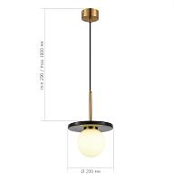 sl1191.343.01 светильник подвесной st-luce , доставка по Казахстану 
