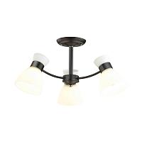 Дополнительная картинка Потолочная люстра Lumion Comfi Wilma 4534/3C