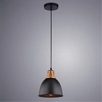 Дополнительная картинка Подвесной светильник Arte Lamp Eurica A4245SP-1BK