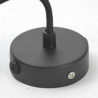 Дополнительная картинка Подвесной светильник Lussole Loft LSP-9888