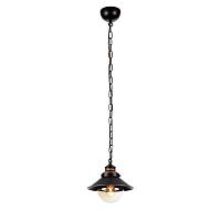 подвесной светильник arte lamp grazioso a4577sp-1ck, доставка по Казахстану 