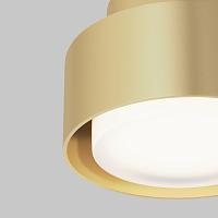 Дополнительная картинка Потолочный светильник Technical C092CL-GX53-MG