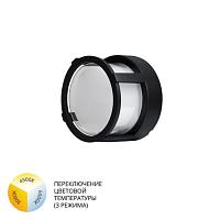 Уличный светильник Arte Lamp ULYSSES A6206PF-1BK