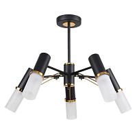 Дополнительная картинка Потолочная люстра F-Promo Viator 2558-5P