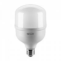 Светодиодная лампа WOLTA 25WHP30E27/40 HP 30Вт 2500лм 6500К E27/40 1/40 купить в Алматы svet.kz