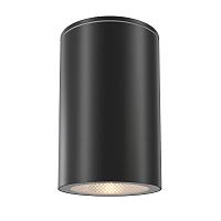 Дополнительная картинка Потолочный светильник Outdoor O307CL-01B
