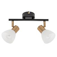 Настенно-потолочный светильник Arte Lamp Falena A3117PL-2BK