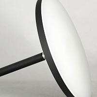 Дополнительная картинка Торшер Lussole LSP-0901