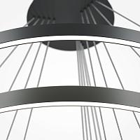 Дополнительная картинка Подвесной светильник Maytoni MOD058PL-L200BK