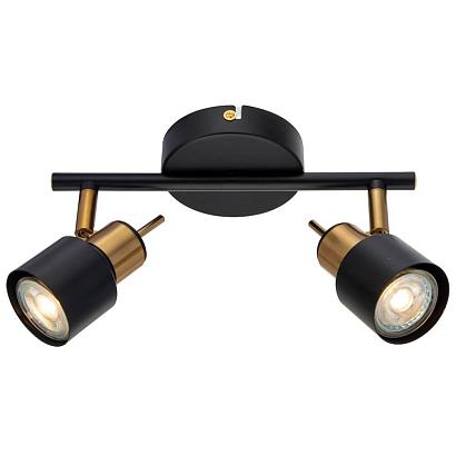 Настенно-потолочные Спот Arte Lamp Almach A1906PL-2BK, доставка по Казахстану 