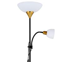 Дополнительная картинка Торшер Arte Lamp Duetto A9569PN-2BK