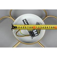 Дополнительная картинка Потолочная люстра Aployt Elison APL.911.07.05