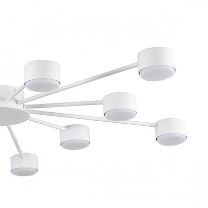 Потолочные 8343/12C Lumion Люстра TORINA, доставка по Казахстану 