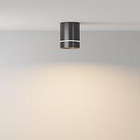 Дополнительная картинка Потолочный светильник Technical C085CL-9W3K-B