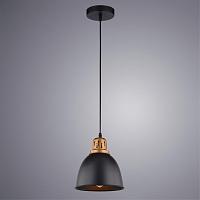 Дополнительная картинка Подвесной светильник Arte Lamp Eurica A4245SP-1BK