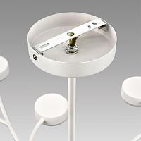 Дополнительная картинка 8265/15 Lumion Люстра TORINA