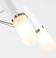 Дополнительная картинка Потолочная люстра F-Promo Viator 2559-5P