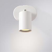 Дополнительная картинка Настенный светильник Arte Lamp AQUARIUS A3226AP-1WH