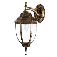 Дополнительная картинка Уличный настенный светильник Arte Lamp Pegasus A3152AL-1BN