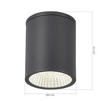Дополнительная картинка SL9514.712.01 Светильник уличный потолочный ST-Luce TUBO