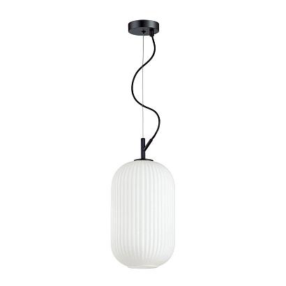 Подвесные Подвесной светильник Odeon Light Pendant Roofi 4751/1, доставка по Казахстану 