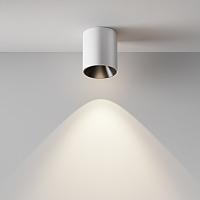 Дополнительная картинка Потолочный светильник Technical C064CL-12W4K-RD-WB