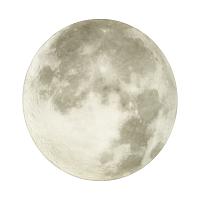 Дополнительная картинка 3084/DLN Sonex Светильник MOON