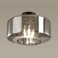 Дополнительная картинка Потолочный светильник Odeon Light Pendant Binga 4746/1C