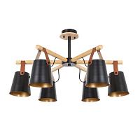 Дополнительная картинка Светильник потолочный Arte Lamp THOMAS A7032PL-6BK