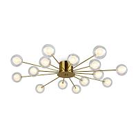 Дополнительная картинка Потолочная люстра Freya FR5242CL-16BS1