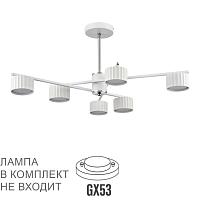 Дополнительная картинка 8241/6C Lumion Люстра потолочная KARINA