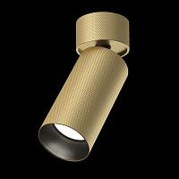 Дополнительная картинка Потолочный светильник Technical C082CL-01-GU10-MG