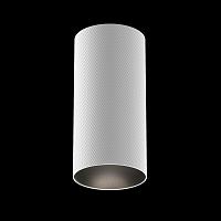 Дополнительная картинка Потолочный светильник Technical C080CL-01-GU10-W