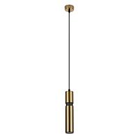 Дополнительная картинка Подвесной светильник Arte Lamp RAN A3145SP-1PB