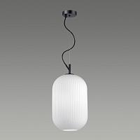 Дополнительная картинка Подвесной светильник Odeon Light Pendant Roofi 4752/1