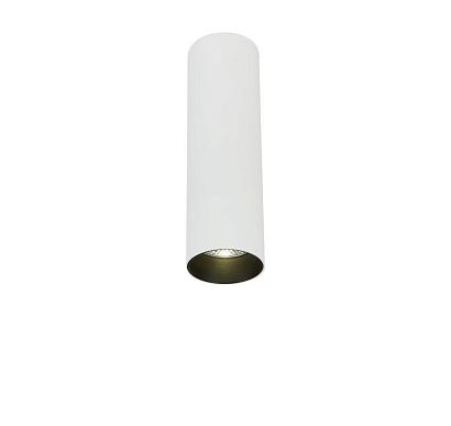 LED потолочный светильник Simple story 2053-LED10CLW купить в Алматы svet.kz