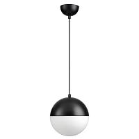 Дополнительная картинка Подвесной светильник Odeon Light Pendant Pinga 4958/1A