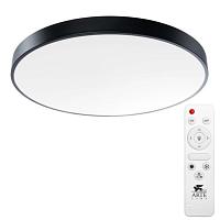 Дополнительная картинка Потолочный светодиодный светильник Arte Lamp Arena A2673PL-1BK