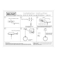 Дополнительная картинка Подвесной светильник Belfast Ravenhill 3276-20 BR MB
