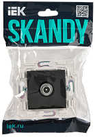 Дополнительная картинка SKANDY Роз. TV проходная SK-A17T титан IEK