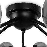 Дополнительная картинка Потолочная люстра Maytoni MOD545CL-20B