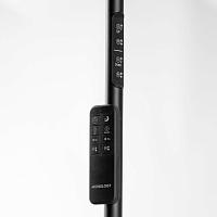 Дополнительная картинка Торшер Lussole LSP-0901-SE