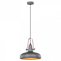 Дополнительная картинка Подвесной светильник Lussole Loft LSP-9814