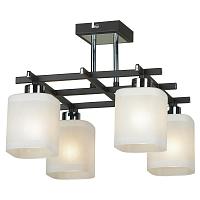 Дополнительная картинка Потолочная люстра Lussole Costanzo LSL-9007-04